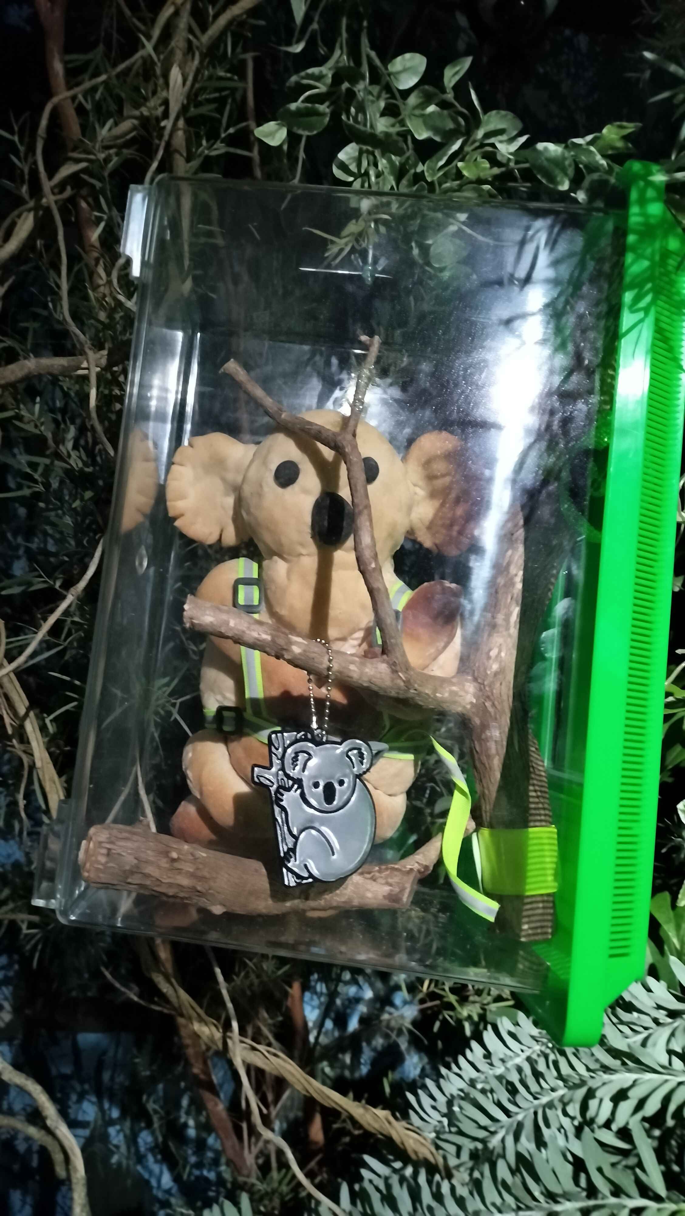 Image in a image block