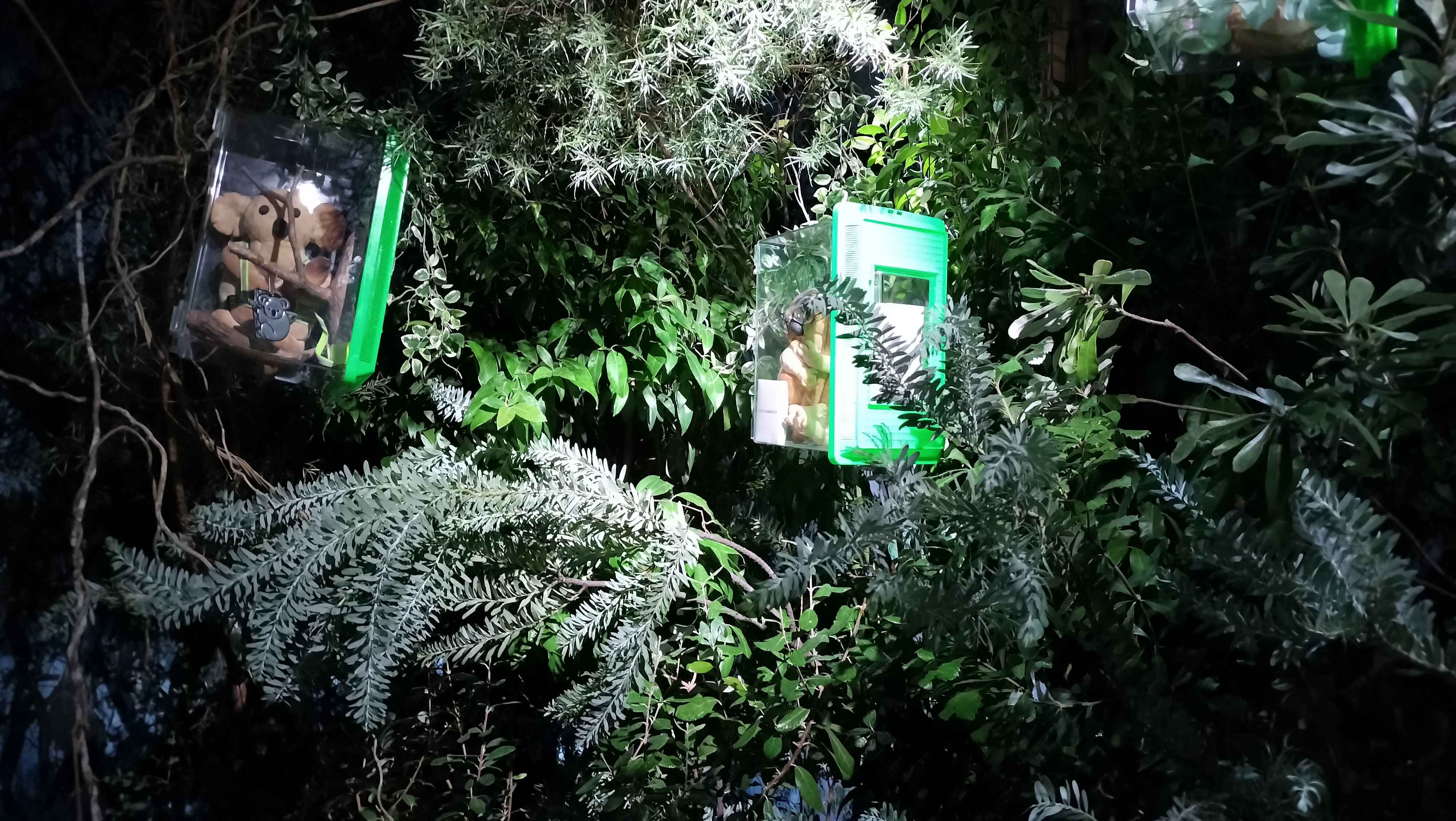 Image in a image block